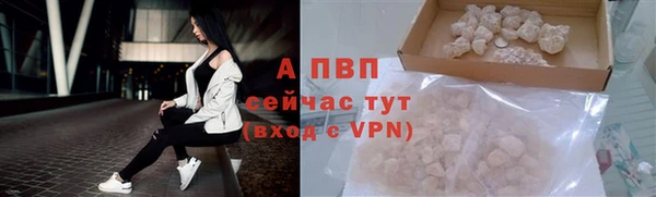 эйфоретик Белоозёрский
